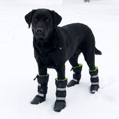 TruePet Winter-Hundeschuhe | Wasserdicht & Gefüttert | 4er-Set | Reflektierend | Anti-Rutsch-Sohle | Schutz vor Streusalz, Schnee & Eis | XS-XL