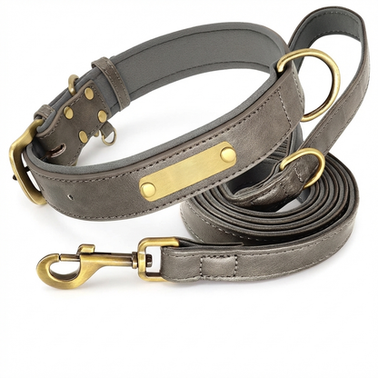 TruePet Premium Hundeleine aus Leder | Mit Gravur | Gepolstert
