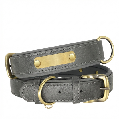 TruePet Personalisiertes Hundehalsband | PU-Leder mit Gravur | Gepolstert | XS-XL