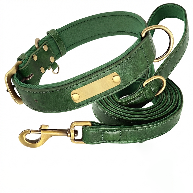 TruePet Premium Hundeleine aus Leder | Mit Gravur | Gepolstert
