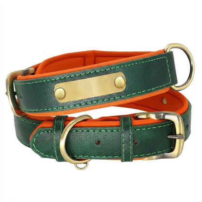 TruePet Personalisiertes Hundehalsband | PU-Leder mit Gravur | Gepolstert | XS-XL