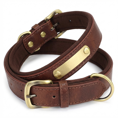 TruePet Personalisiertes Hundehalsband | PU-Leder mit Gravur | Gepolstert | XS-XL