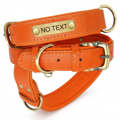 TruePet Personalisiertes Hundehalsband | PU-Leder mit Gravur | Gepolstert | XS-XL