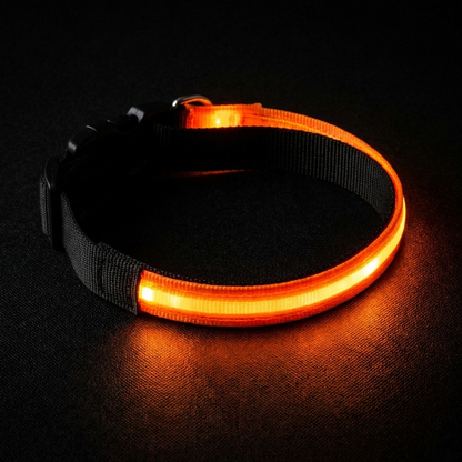 TruePet LED Hundehalsband | USB Aufladbar (2-3 Std Leuchtdauer) | 3 Leuchtmodi | 7 Farben | 6 Größen XS-XXL | Nachtsicherheit