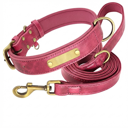 TruePet Premium Hundeleine aus Leder | Mit Gravur | Gepolstert
