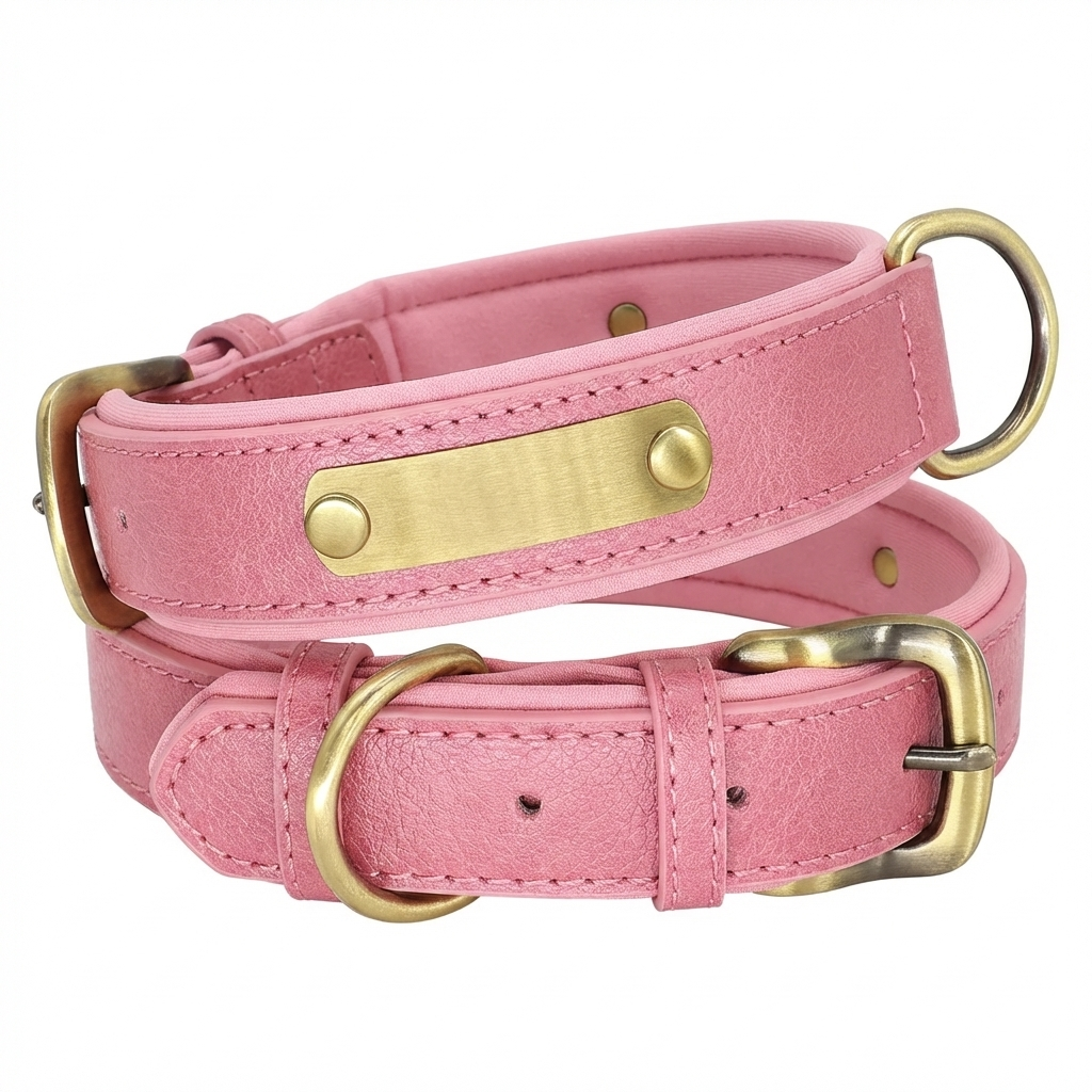 TruePet Personalisiertes Hundehalsband | PU-Leder mit Gravur | Gepolstert | XS-XL