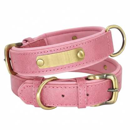 TruePet Personalisiertes Hundehalsband | PU-Leder mit Gravur | Gepolstert | XS-XL
