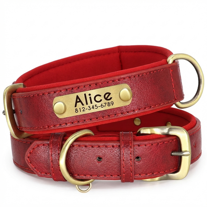 TruePet Personalisiertes Hundehalsband | PU-Leder mit Gravur | Gepolstert | XS-XL