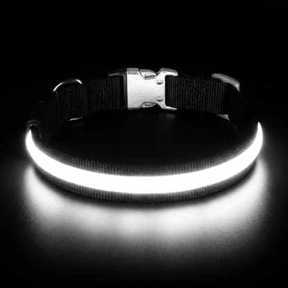 TruePet LED Hundehalsband | USB Aufladbar (2-3 Std Leuchtdauer) | 3 Leuchtmodi | 7 Farben | 6 Größen XS-XXL | Nachtsicherheit